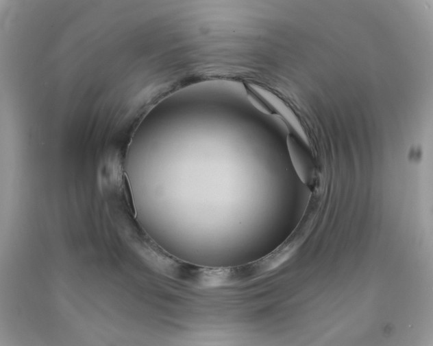 X0000091570143200709051047