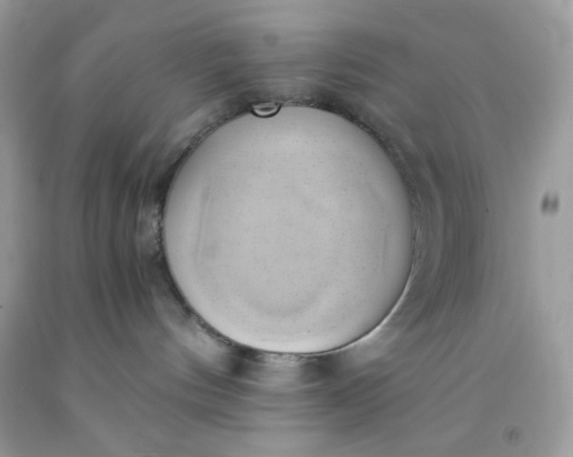 X0000091570144200709051047