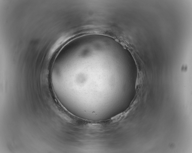 X0000091570150200709051046