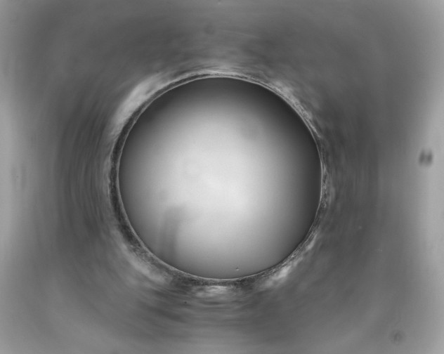 X0000091570151200709051046