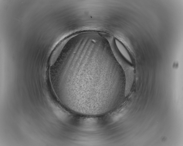 X0000091570156200709051046