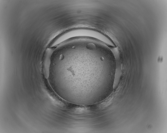 X0000091570160200709051046