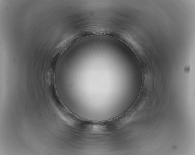 X0000091570165200709051046