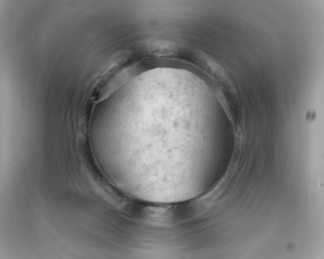 X0000091570170200709051046