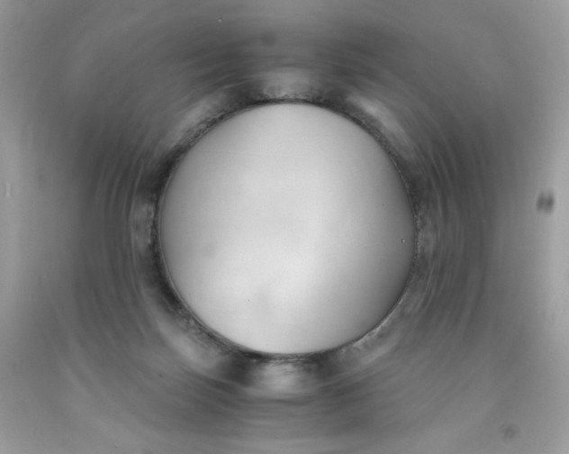 X0000091570171200709051046