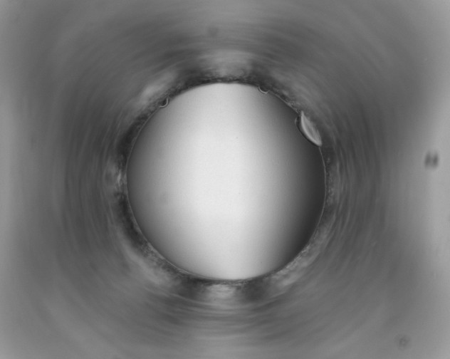 X0000091570176200709051046