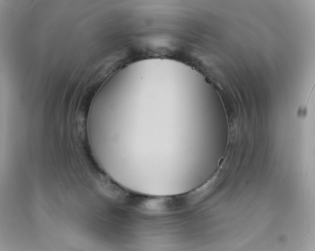 X0000091570178200709051046