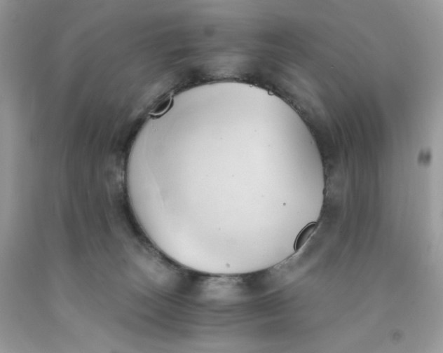 X0000091570179200709051046