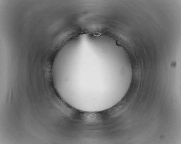 X0000091570181200709051047