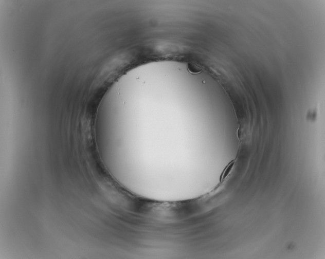 X0000091570182200709051047