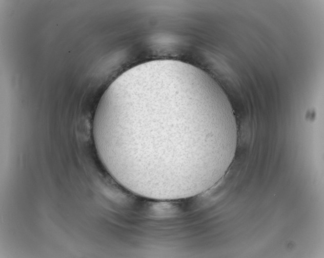 X0000091570183200709051047