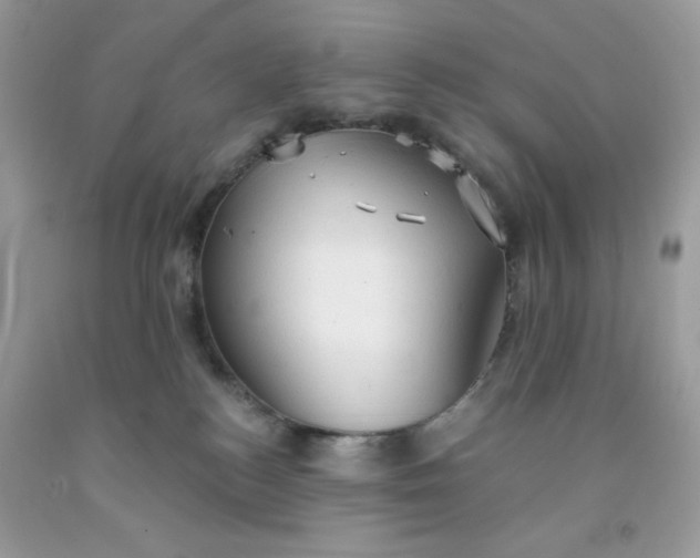 X0000091570184200709051047