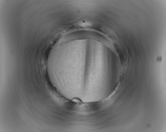 X0000091570186200709051047