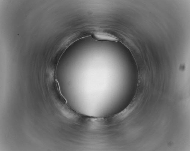 X0000091570188200709051047