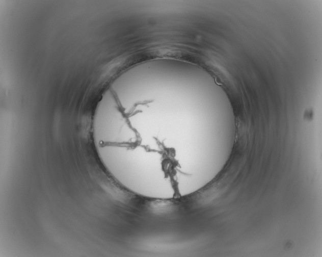 X0000091570189200709051047