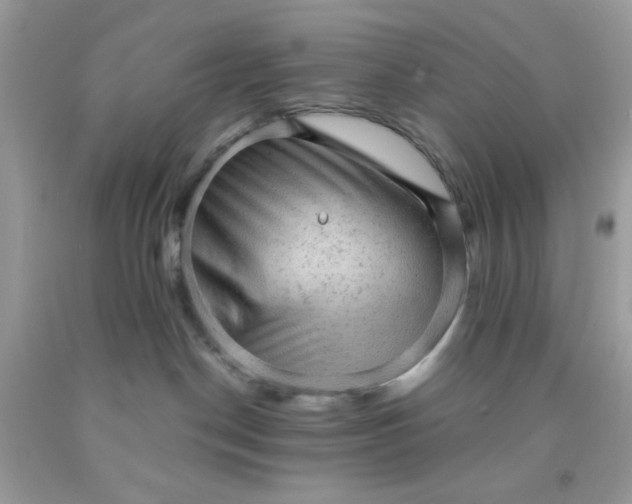 X0000091570190200709051047