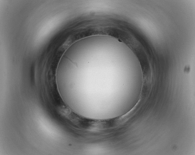 X0000091570191200709051047