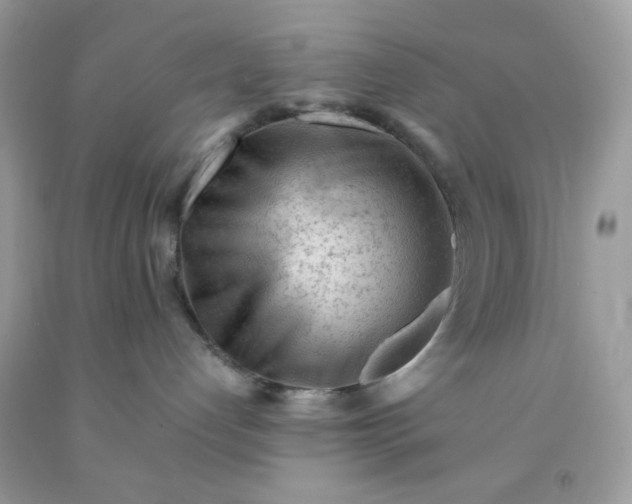 X0000091570192200709051047