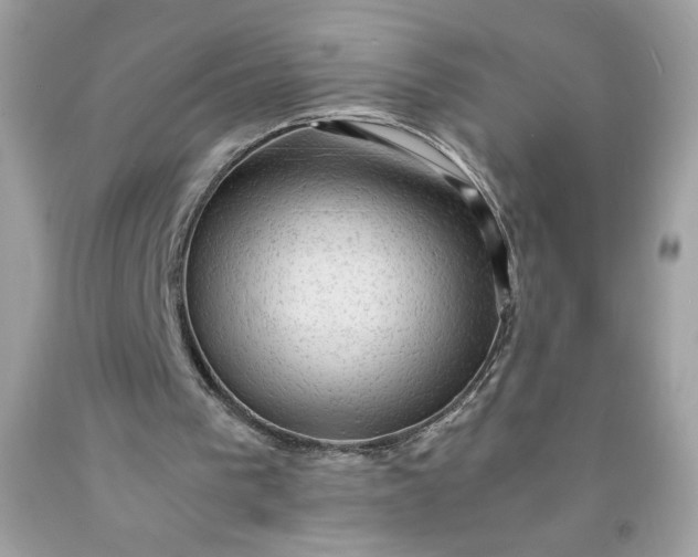 X0000091570193200709051046
