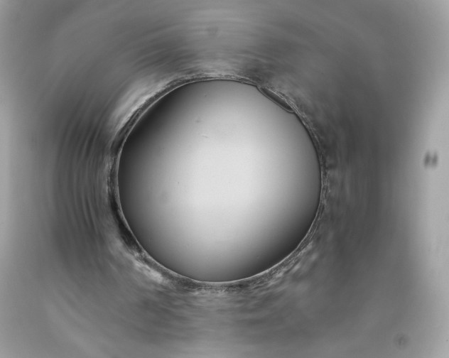 X0000091570194200709051046