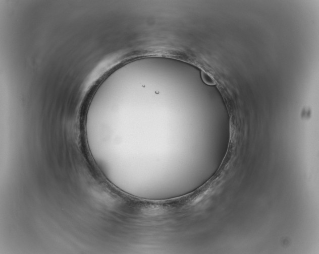 X0000091570198200709051046