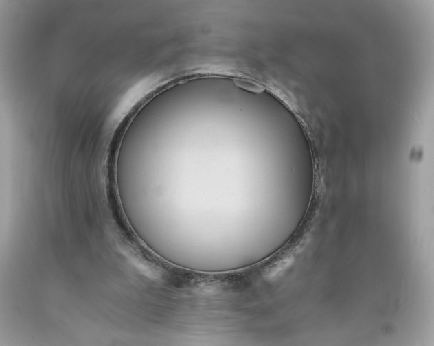 X0000091570199200709051046