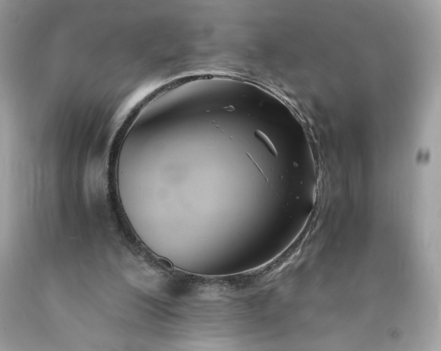X0000091570200200709051046
