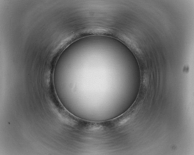 X0000091570206200709051046