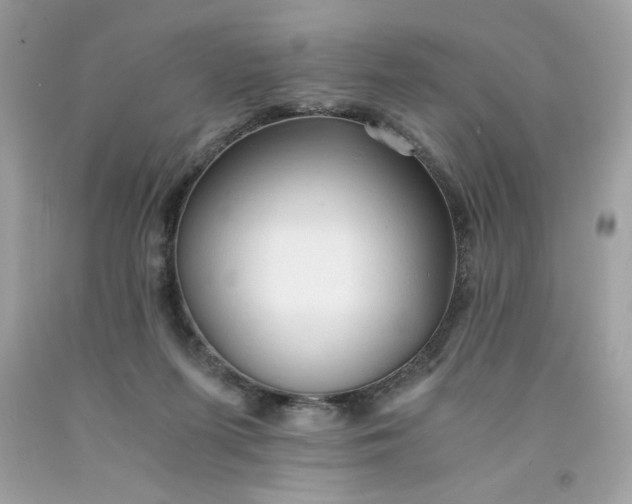 X0000091570215200709051046