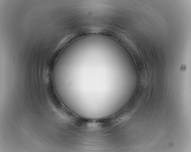 X0000091570216200709051046