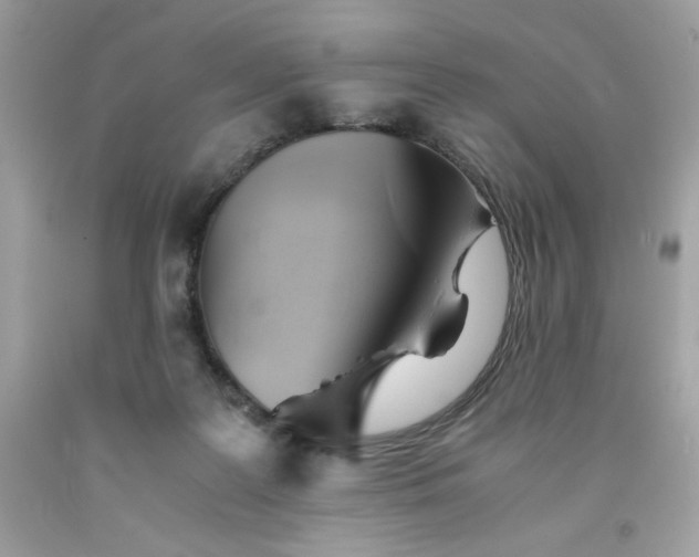 X0000091570219200709051046