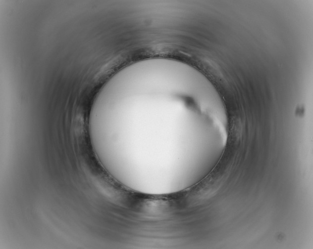 X0000091570220200709051046