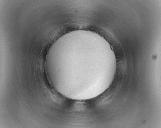 X0000091570222200709051046