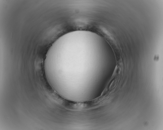 X0000091570225200709051045