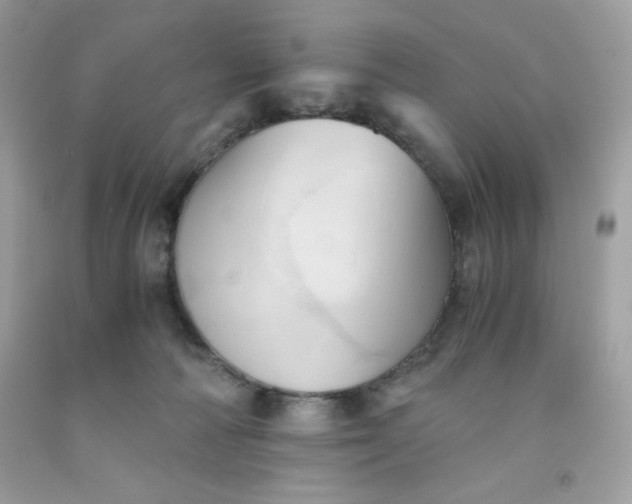 X0000091570226200709051045