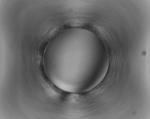 X0000091570227200709051045