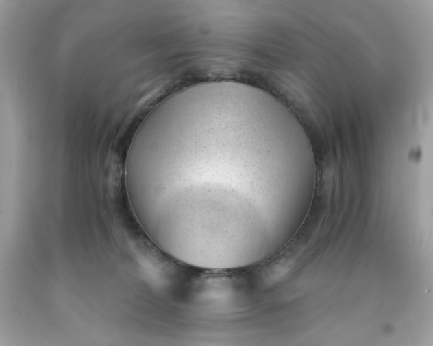 X0000091570228200709051045
