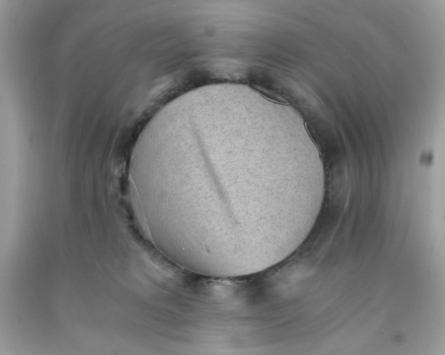X0000091570229200709051045