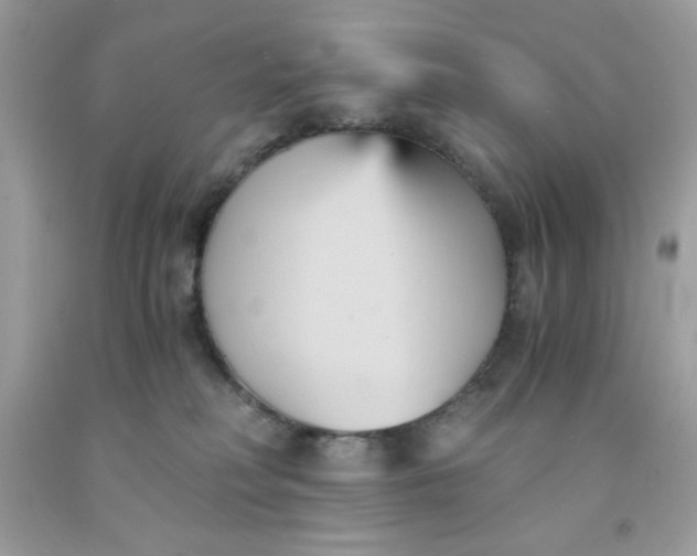 X0000091570230200709051045