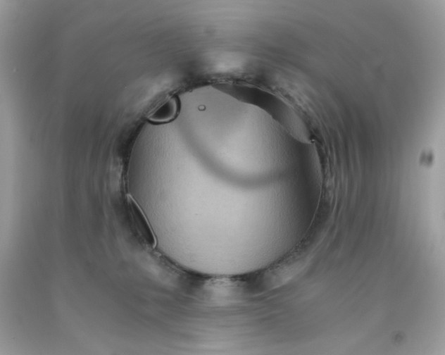 X0000091570231200709051045
