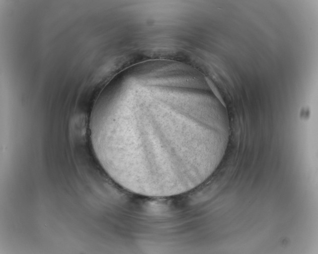 X0000091570232200709051045