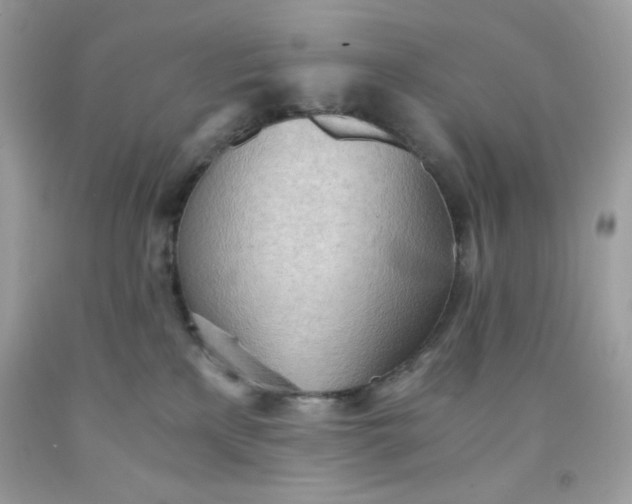 X0000091570233200709051045