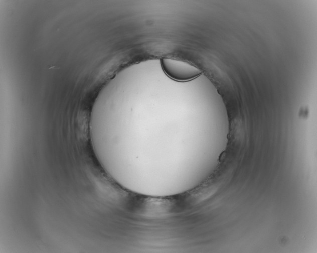 X0000091570234200709051045