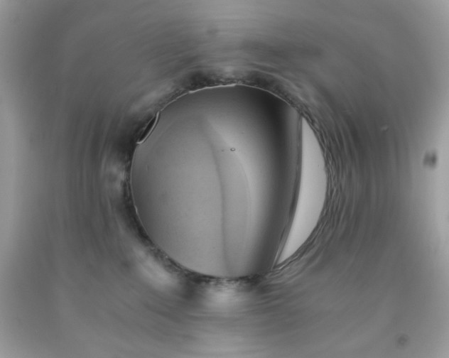 X0000091570235200709051045