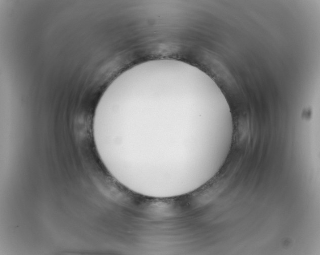 X0000091570236200709051045