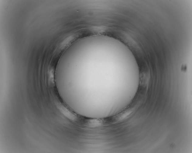 X0000091570238200709051045