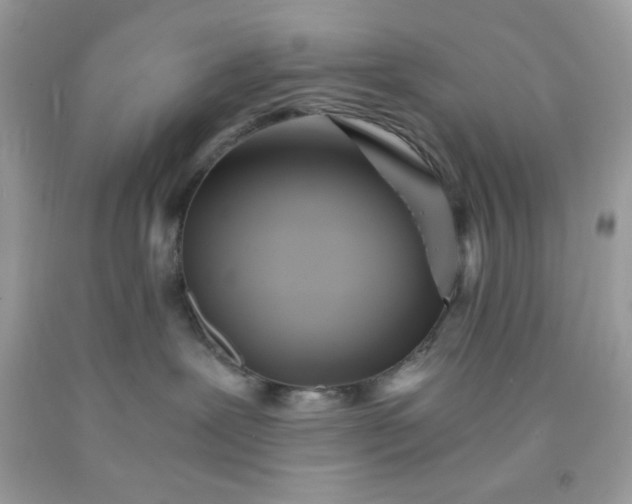 X0000091570239200709051045