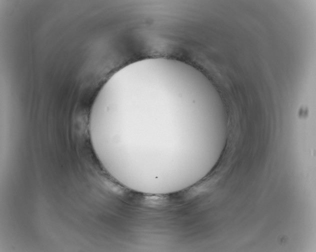 X0000091570240200709051045