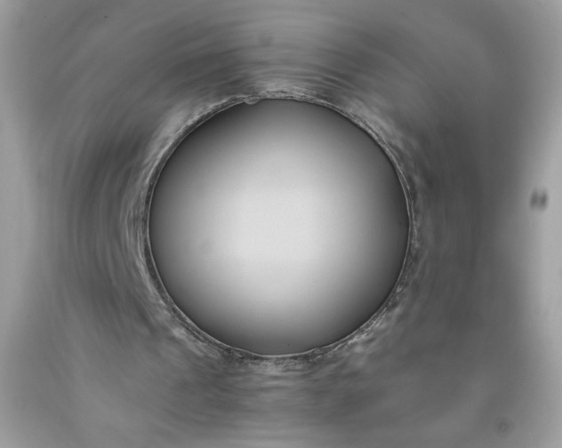 X0000091570241200709051045