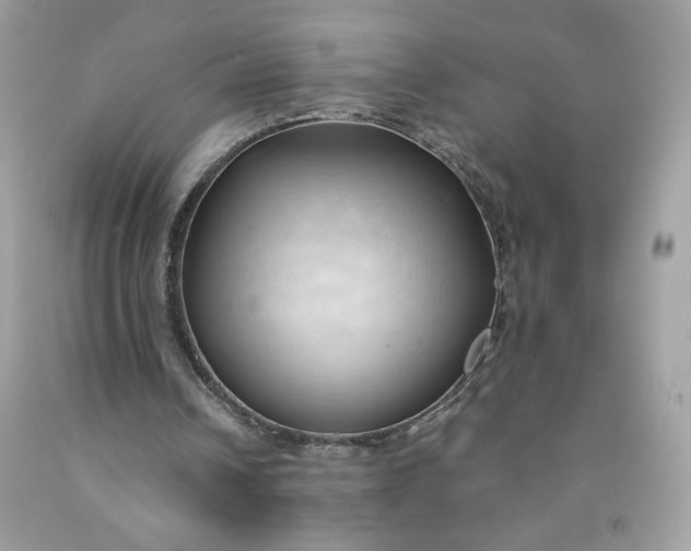 X0000091570242200709051045